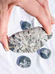 Chrysanthemum Natural Stone | Medium