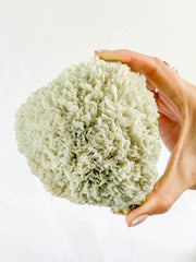 Scolecite with Apophyllite Cluster with Inclusions 852g