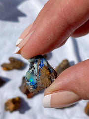 Boulder Opal Natural | Small