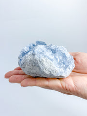 Celestite Cluster 667g