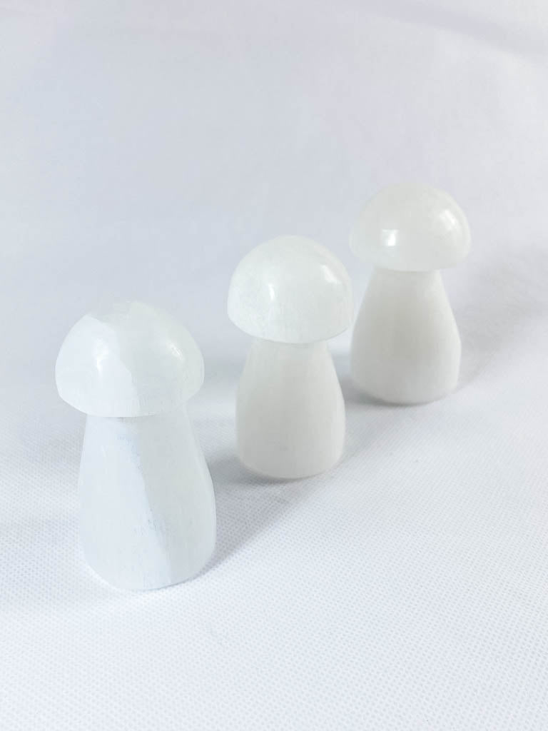Selenite Mushroom Carving