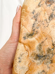 Picture Jasper Polished CutBase 1.4kg