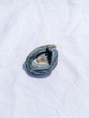 Agate Conchina Swirl 48g