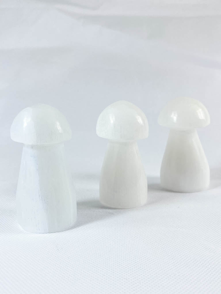 Selenite Mushroom Carving