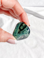 Crocodile Jasper [Kambaba] Tumbles | Medium