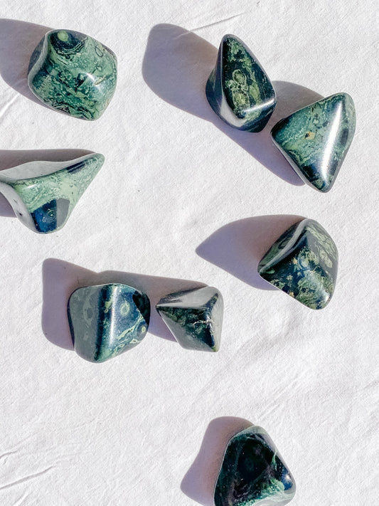 Crocodile Jasper [Kambaba] Tumbles | Medium