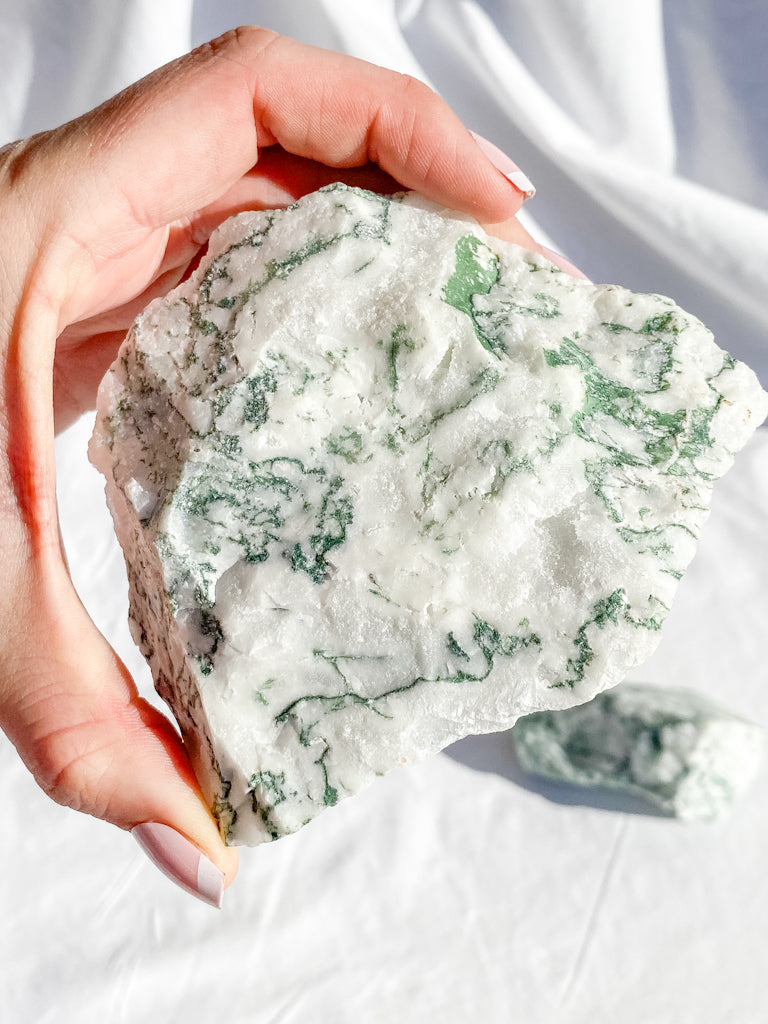 Tree Agate Natural | XXX Large
