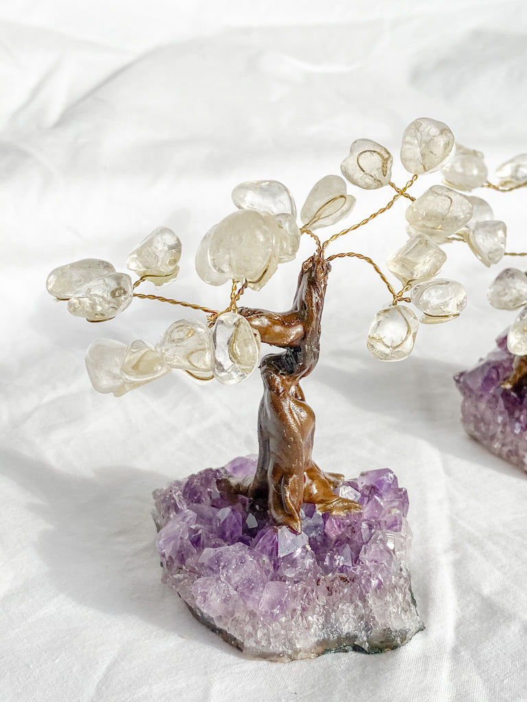 Crystal Bonsai Tree Clear Quartz on Amethyst Base