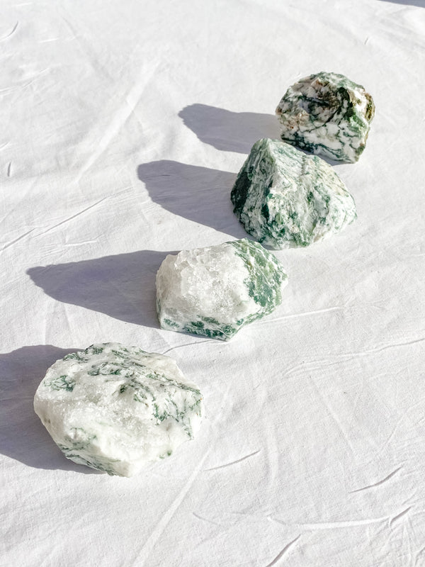 Tree Agate Natural | X Large
