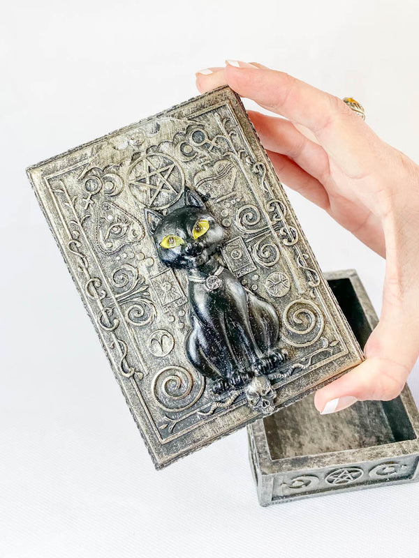 Black Cat Protection Silver Box