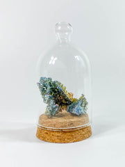 Glass Display Vial