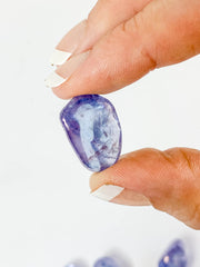 Aura Tanzin Tumbles | Mini