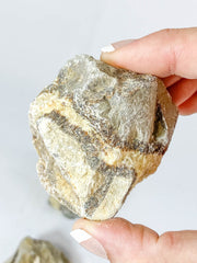 Septarian Natural | Large