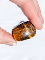 Tiger Eye Tumbles | Large