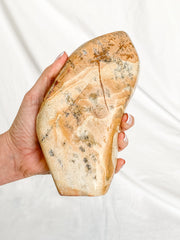 Picture Jasper Polished CutBase 1.4kg