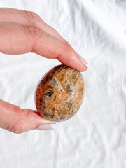 Madagascar Jasper Pebble 81g
