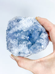 Celestite Cluster 667g