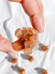 Aragonite Sputnik | X Small
