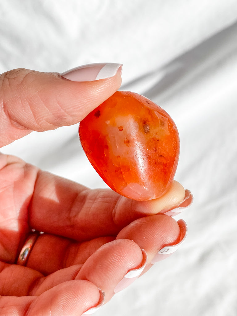 Carnelian Tumbles | Large