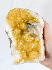Citrine CutBase Cluster with Calcite and Druzy Inclusions 1.4kg