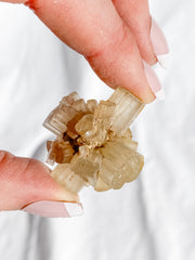 Aragonite Sputnik White | X Small