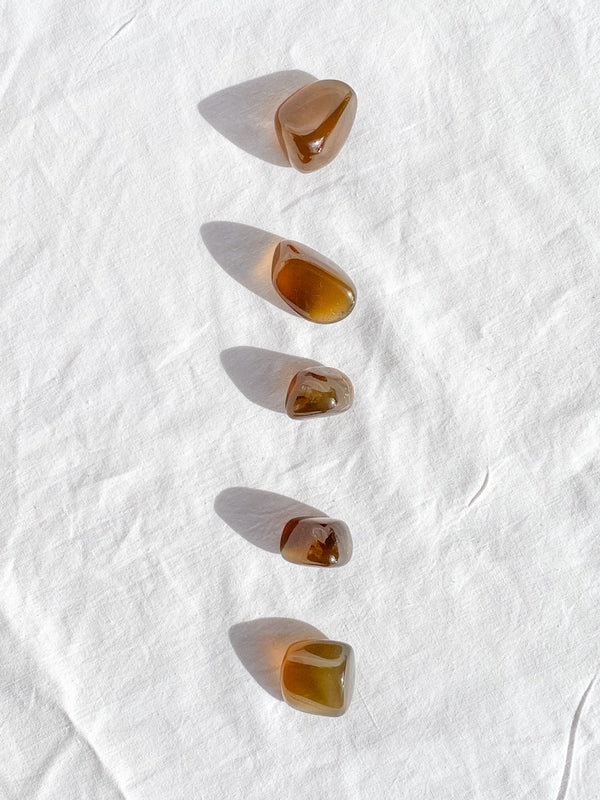 Brown Chalcedony Tumbles | Small