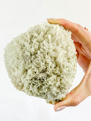 Scolecite with Apophyllite Cluster with Inclusions 852g