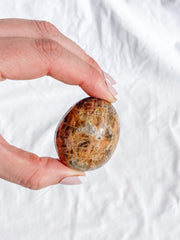 Madagascar Jasper Pebble 81g