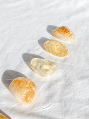 Citrine Baked Tumbles | Medium