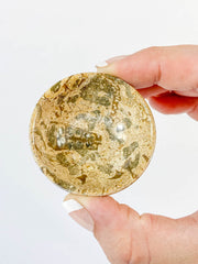 Fossil Coral Bowl | Small