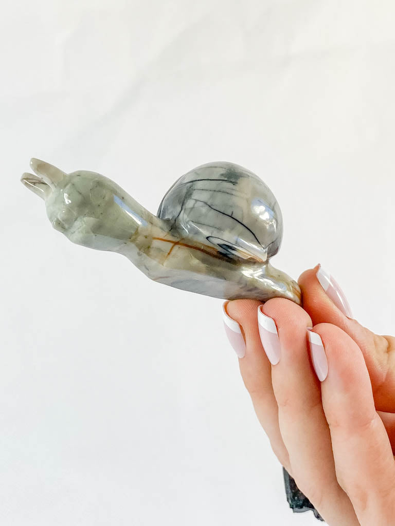 Jasper Snail Carving