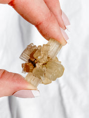 Aragonite Sputnik White | X Small