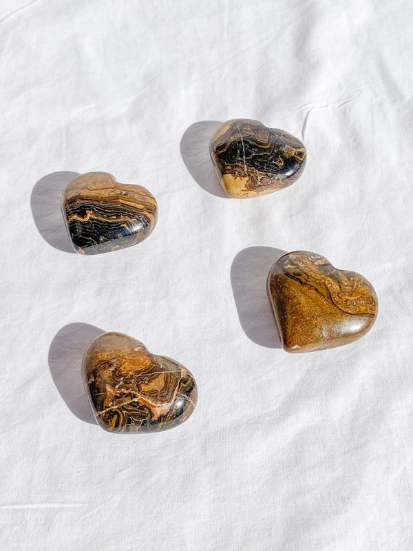 Stromatolite Heart | Medium