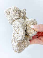 Desert Rose Selenite Cluster Statement Piece 957g