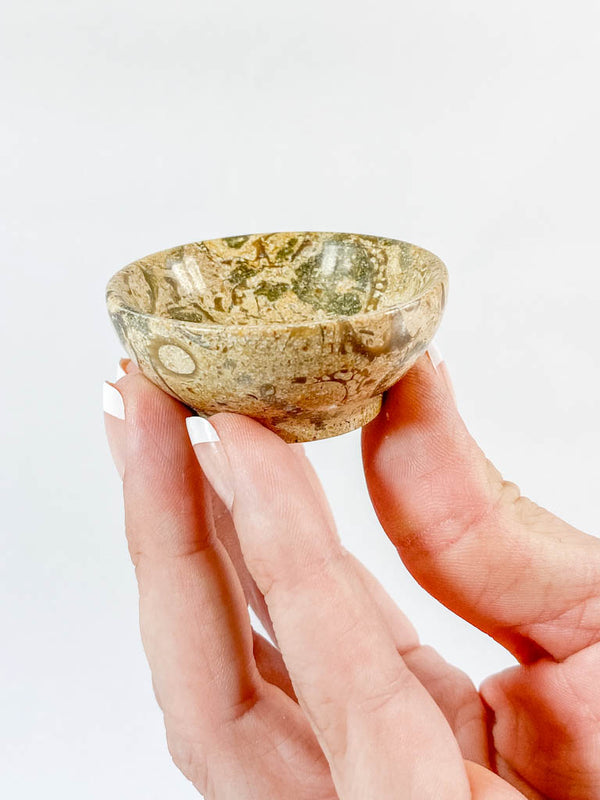 Fossil Coral Bowl | Small