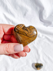 Stromatolite Heart | Medium
