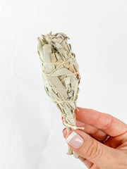 Organic White Sage | Small
