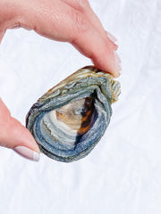 Agate Conchina Swirl 48g
