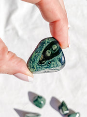 Crocodile Jasper [Kambaba] Tumbles | Medium