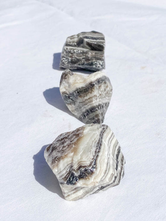 Zebra Natural | Medium