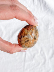 Madagascar Jasper Pebble 81g