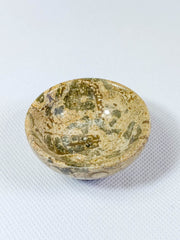 Fossil Coral Bowl | Small