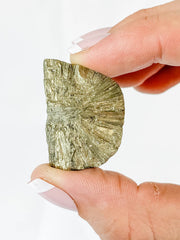 Pyrite Flower Mineral Specimen 30g