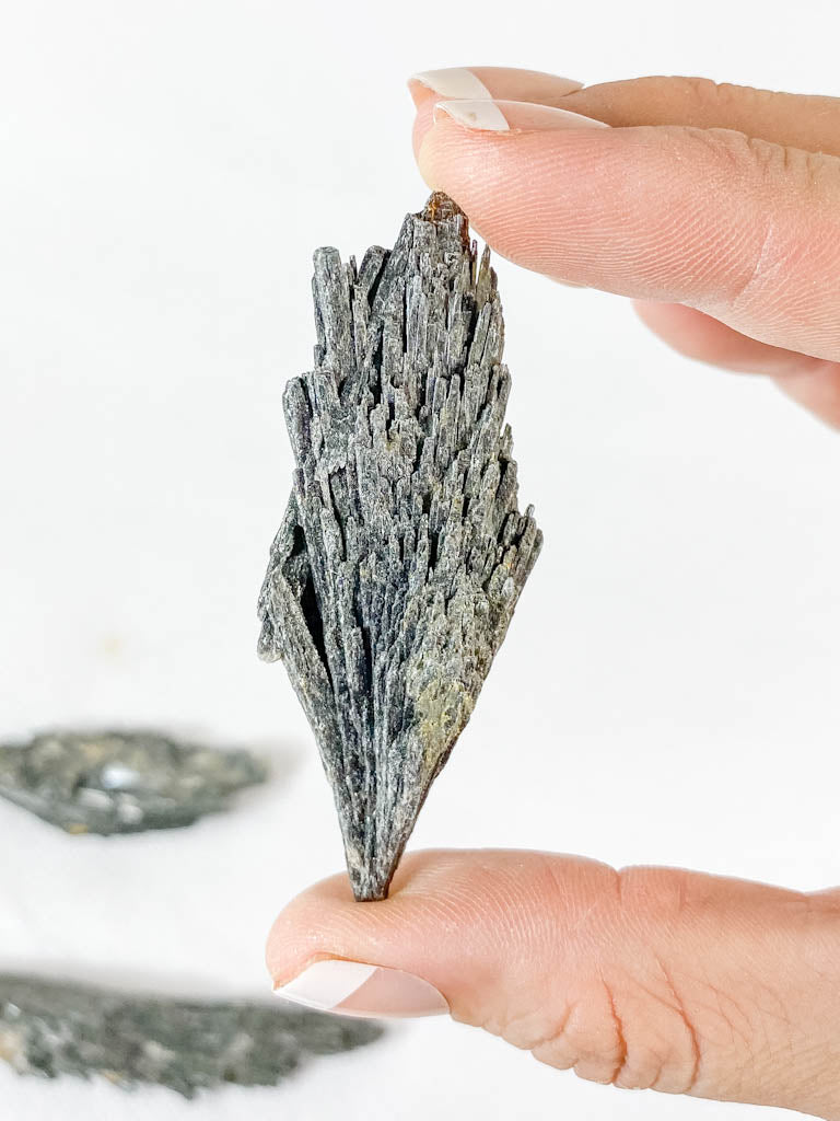Black Kyanite Natural | X Small