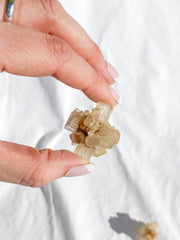 Aragonite Sputnik White | X Small