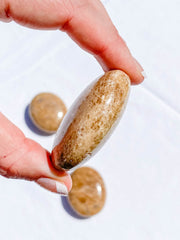 Aragonite PalmStone | Medium