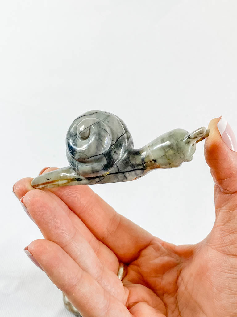 Jasper Snail Carving