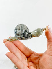 Jasper Snail Carving