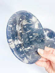 Orthoceras Bowl | XX Large