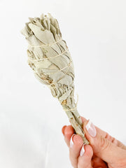 Organic White Sage | Small